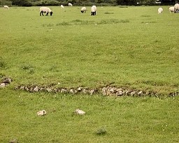 Exposed flint wall of church