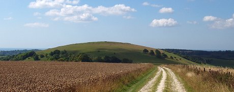 Harrow Hill from the North - August 2005