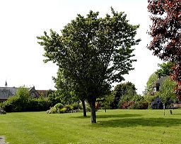 The tranquil St Nicholas' gardens - site of the church