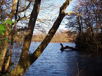 Decoy Ponds © Neil Rogers-Davis