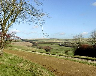 North Angmering - Downs © Neil Rogers-Davis