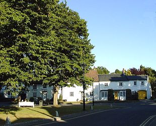 Summer evening in Angmering