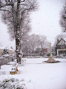 Copyright: Neil Rogers-Davis, 2008