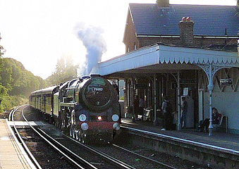 Photo: Copyright Neil Rogers-Davis, 2009