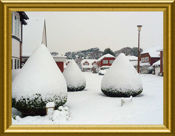 Copyright: Neil Rogers-Davis, 2010