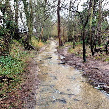 Cow Lane (photo copyright Derek Dainton)