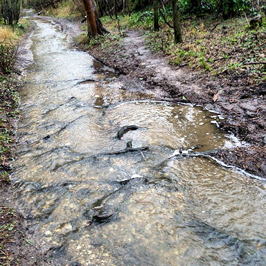 Cow Lane (photo copyright Derek Dainton)