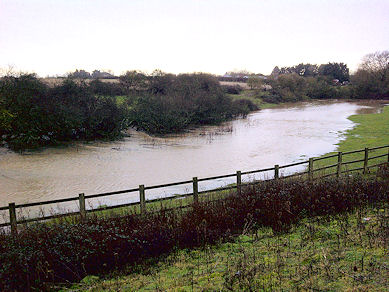 Photo: Sylvia Verrinder