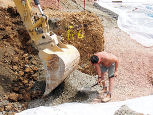 Copyright: Neil Rogers-Davis, 2008